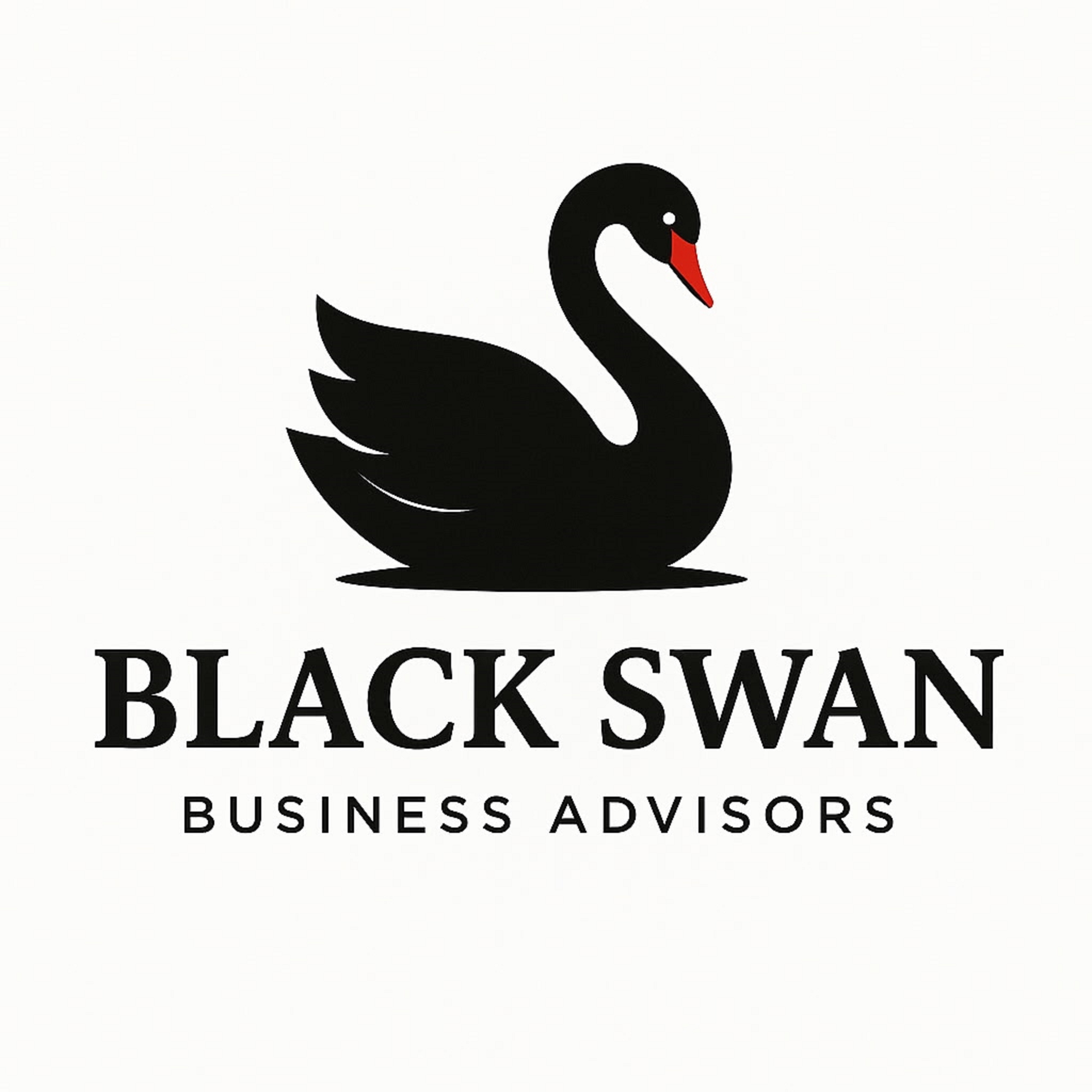 Black Swan Business Advisors 